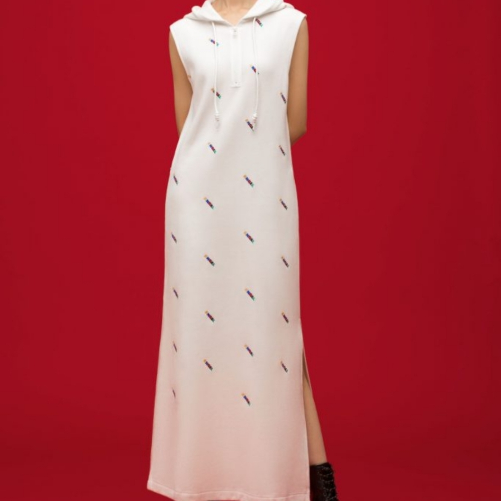 H & M Angel Chen Maxi Sweater Dress